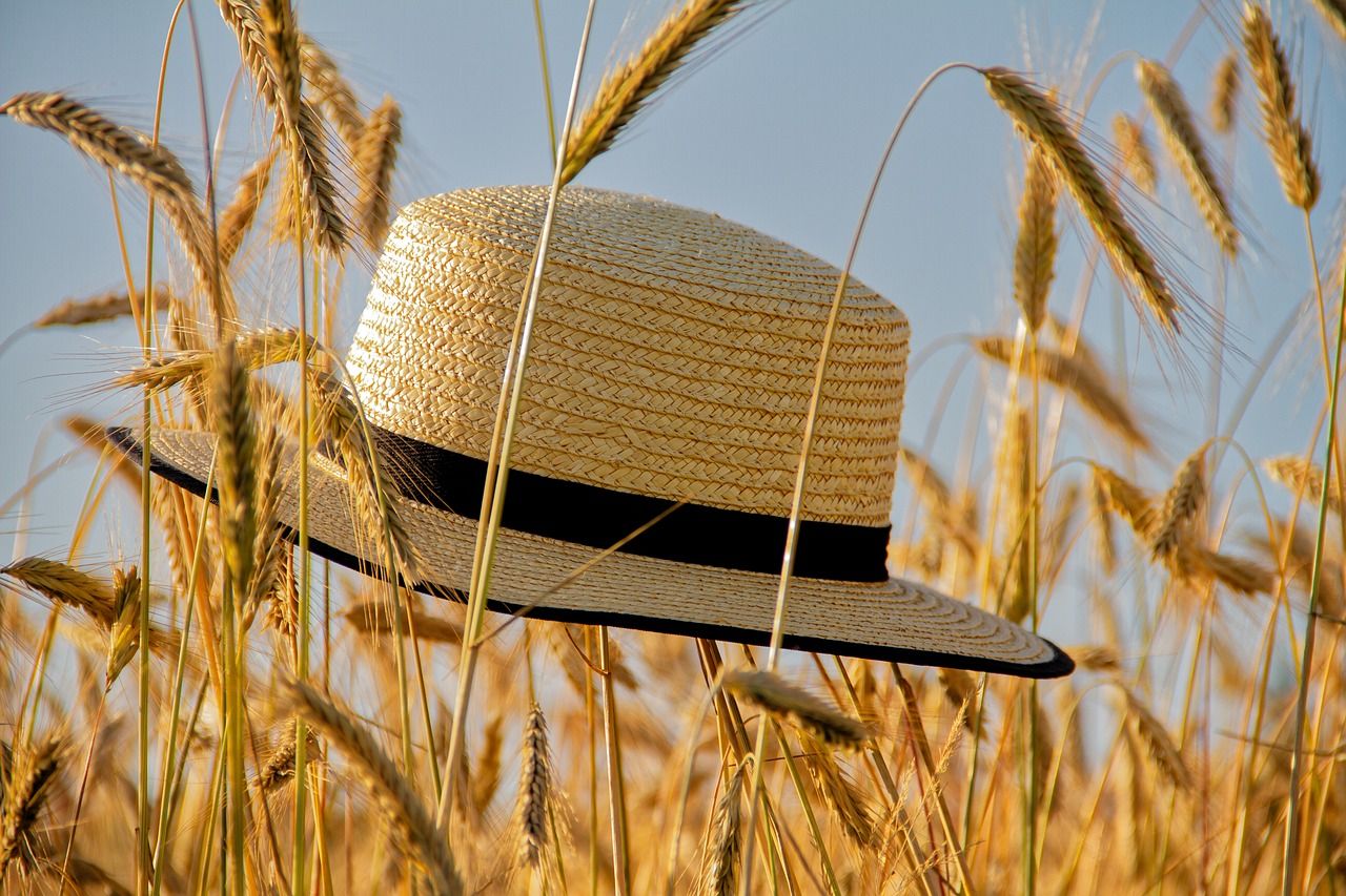 Chapeau de paille dans les blés