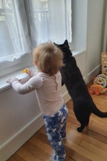 Chat bebe