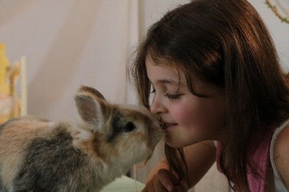 Lapinbisou